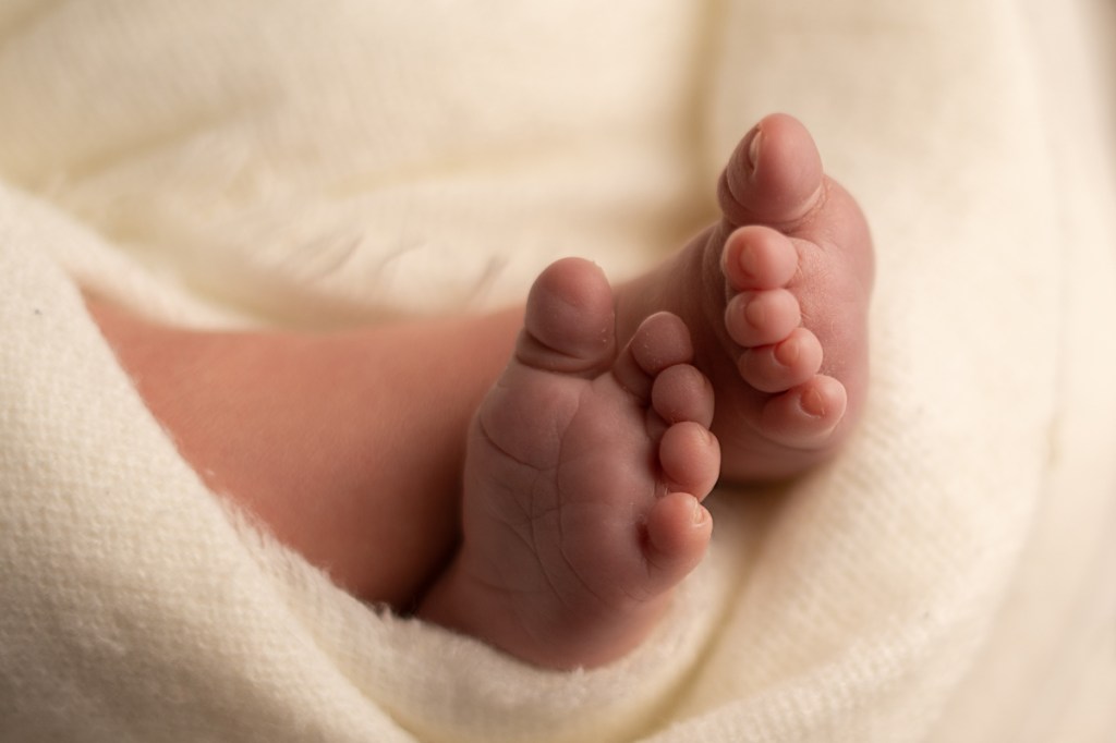 Whangarei Newborn Photographer. Best whangarei photographer. Baby photographer whangarei. Olivia Gundry Photography