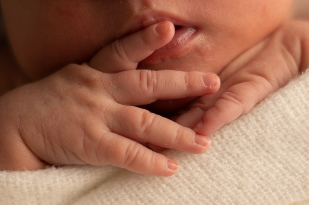 Whangarei Newborn Photographer. Best whangarei photographer. Baby photographer whangarei. Olivia Gundry Photography