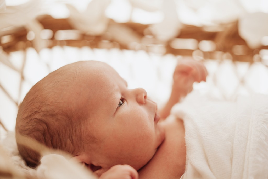 Whangarei Newborn Photographer. Best whangarei photographer. Baby photographer whangarei. Olivia Gundry Photography